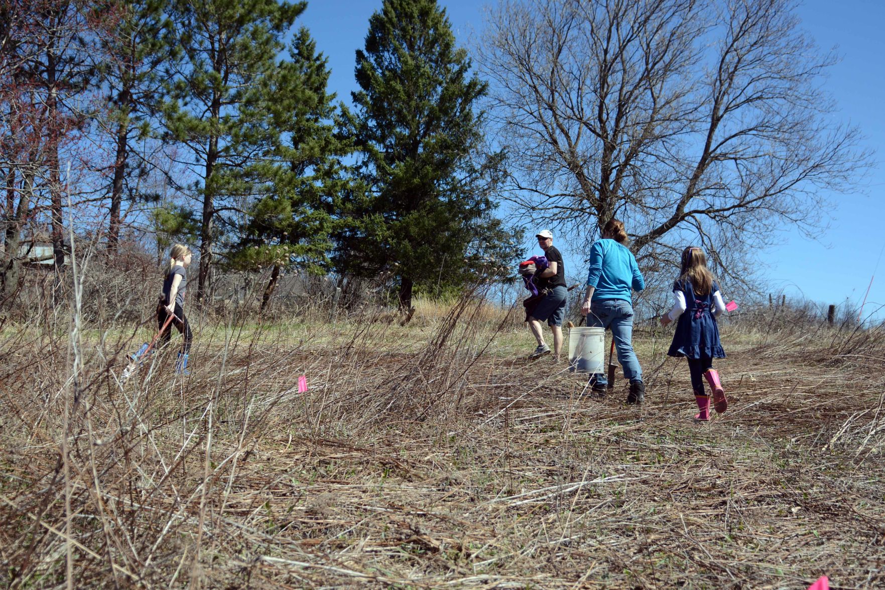Earth Day tree planting in Baraboo Hills, April 20